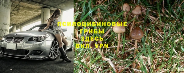 дживик Майский