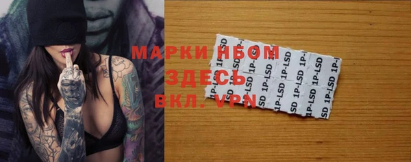 дживик Майский