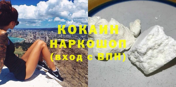 дживик Майский