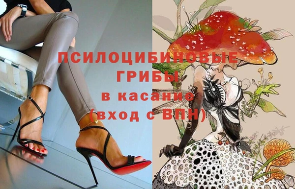 дживик Майский