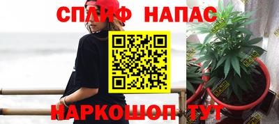 молекула духа Балахна