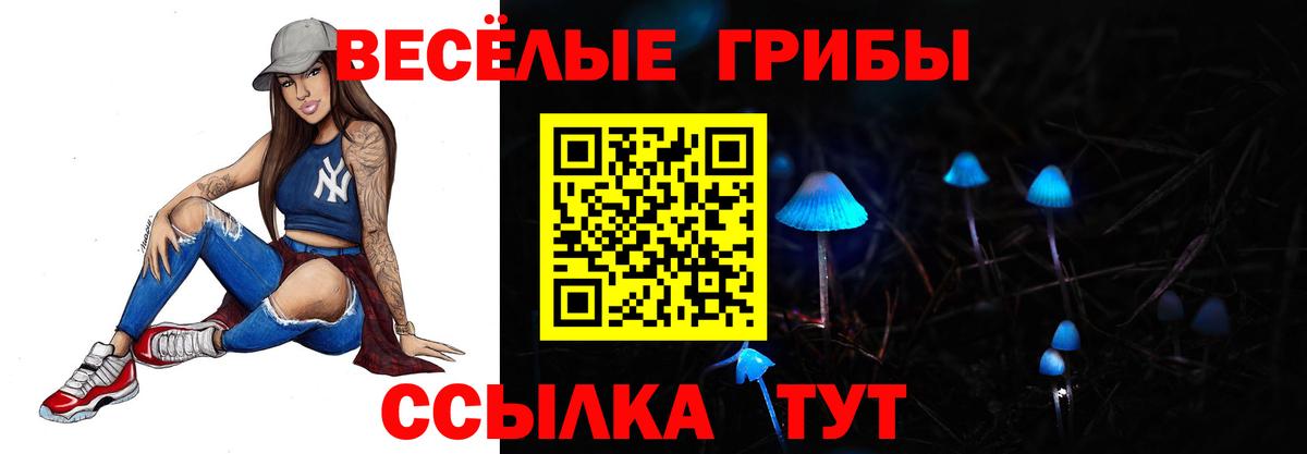 Псилоцибиновые грибы Psilocybine cubensis  Вход с VPN  Галлюциногенные грибы мицелий  Дербент 